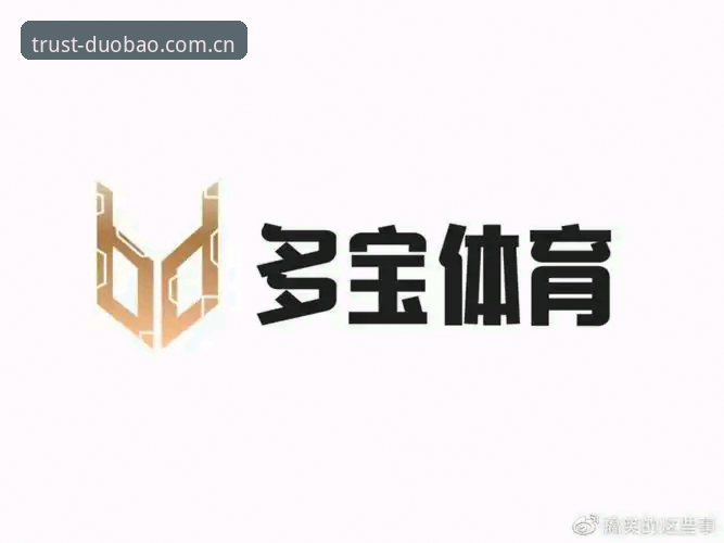 多宝体育平台使用指南与下载问题详解